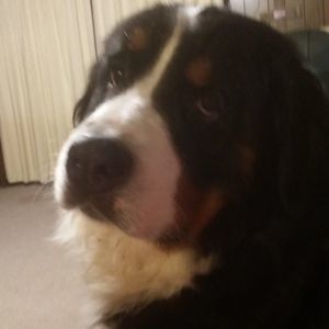 Meet your Posher, Teresa